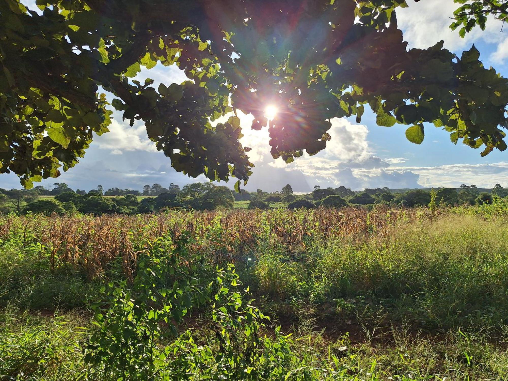Mabuda Guest Farm Siteki Экстерьер фото